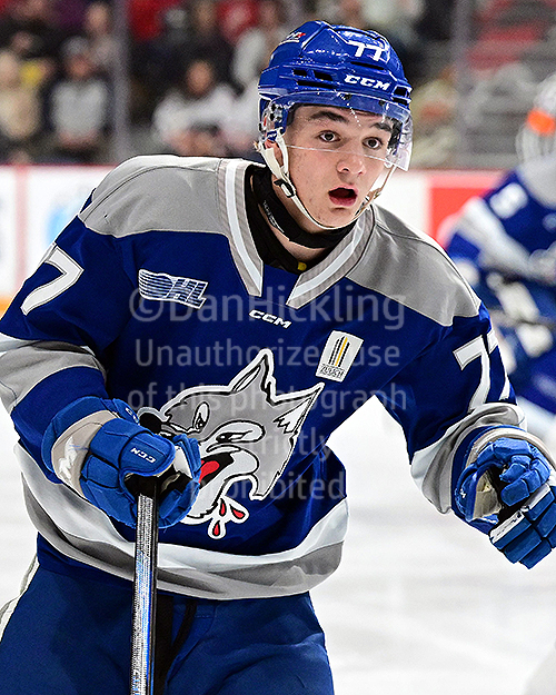 Rowan Henderson of the Sudbury Wolves during an OHL game, wearing the Wolves' blue and grey uniform
